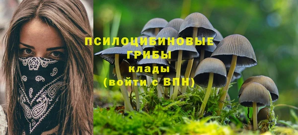 шишки Богданович